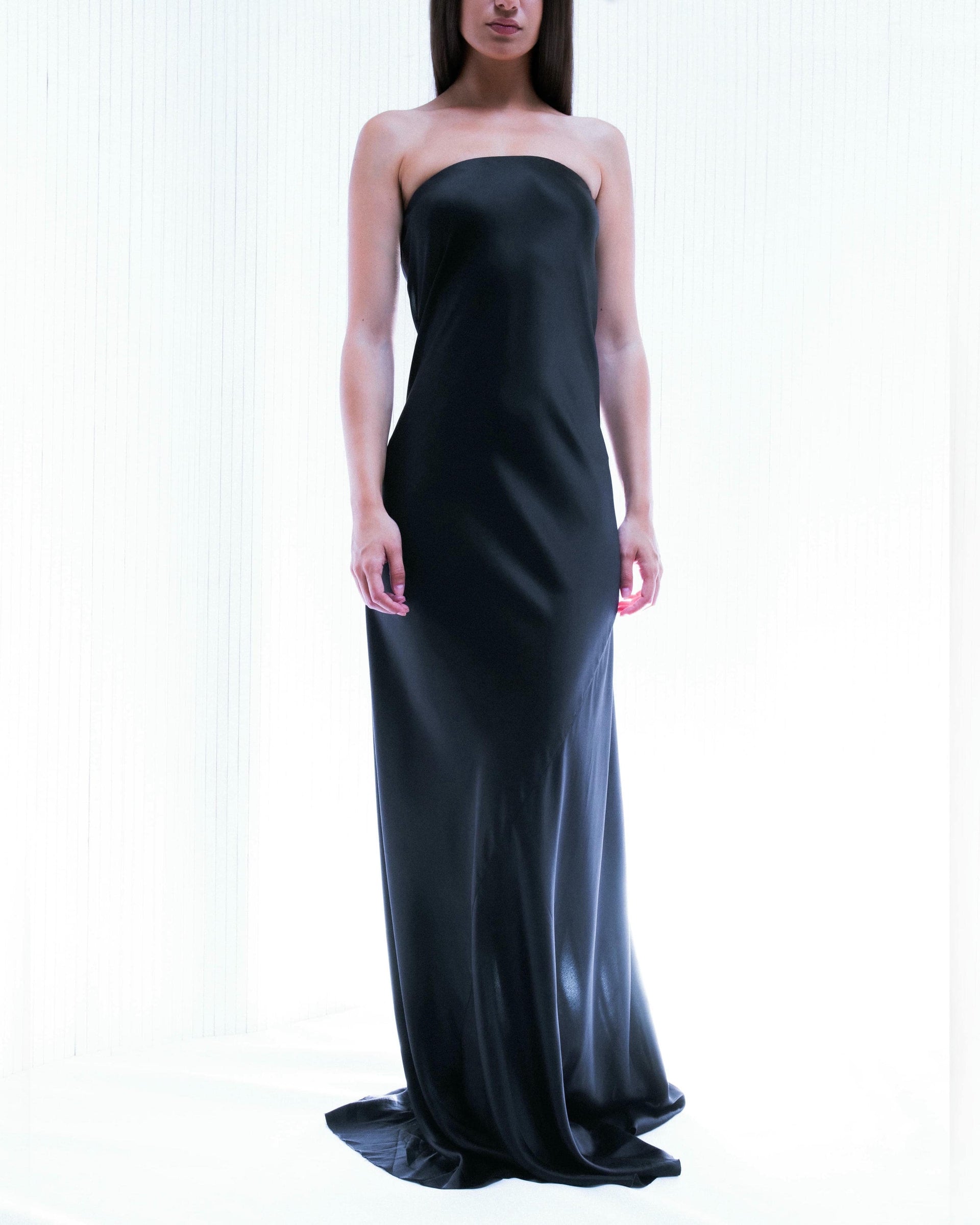 The Ebony Strapless Silk Dress byJGK The Ebony Strapless Silk Dress byJGK